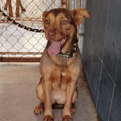 Screenshot 2026-01-20 212751