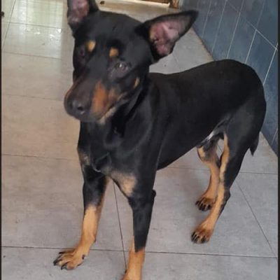 Screenshot 2026-01-20 212928