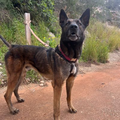 WhatsApp Image 2025-01-27 at 17.33.42