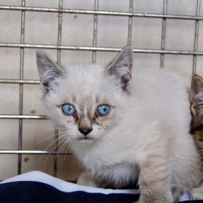 WhatsApp Image 2025-11-02 at 14.29.10 (8)