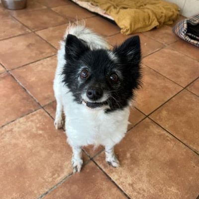 WhatsApp Image 2025-12-29 at 17.07.41 (2)