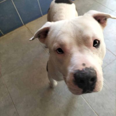 WhatsApp Image 2025-12-31 at 14.51.21