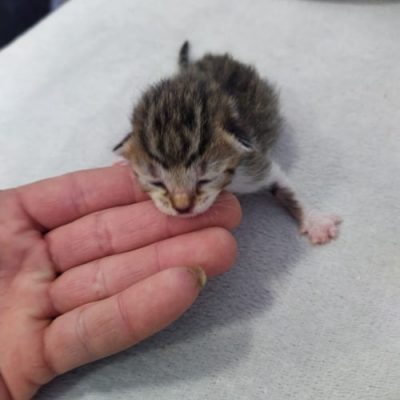 WhatsApp Image 2026-04-17 at 18.55.45